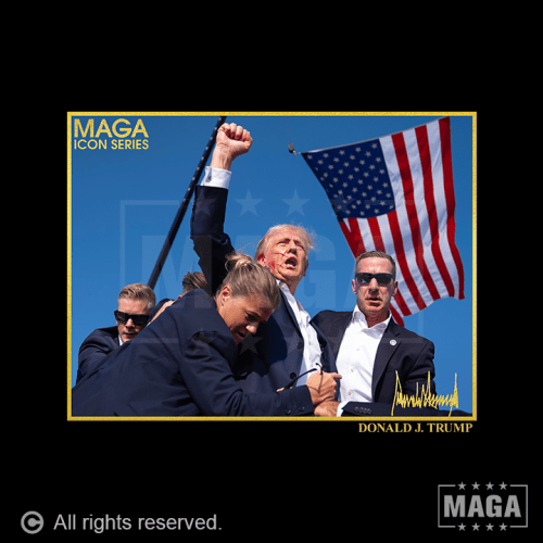 IconSeries TrumpFightwatermark