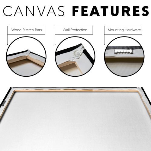 Rocky Trump Canvas V Canvas Features Mockup png