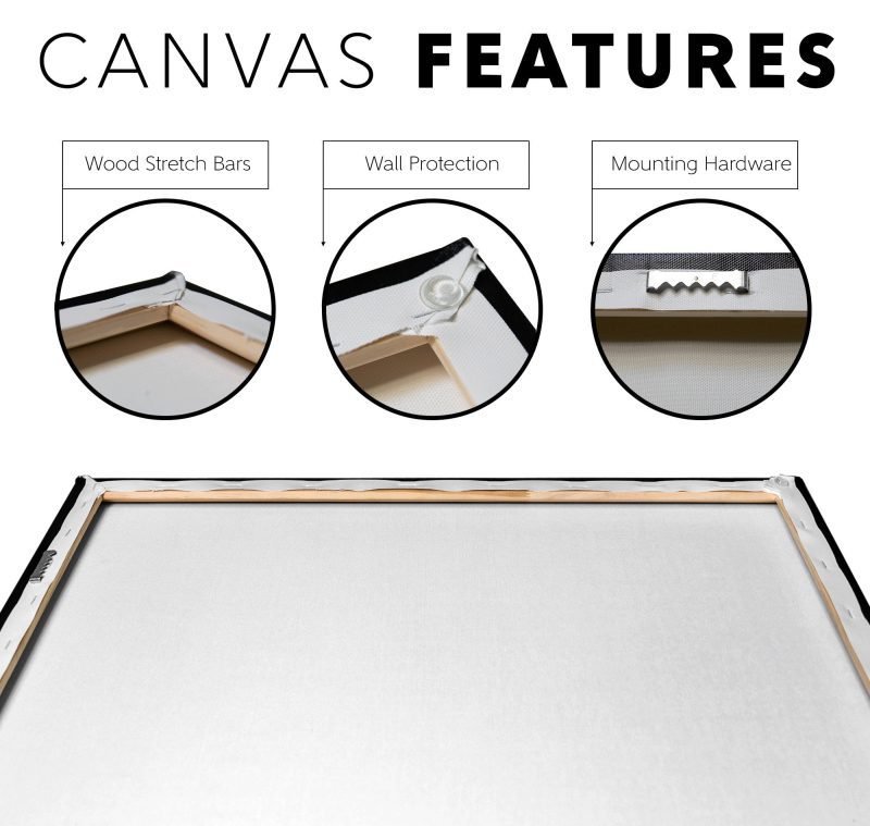 Rocky Trump Canvas V Canvas Features Mockup png