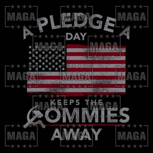 a pledge a day maga trump 33797823987889