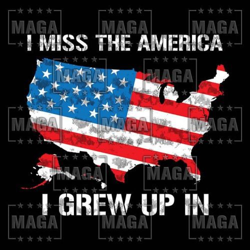 america i grew up in maga trump 33797505286321