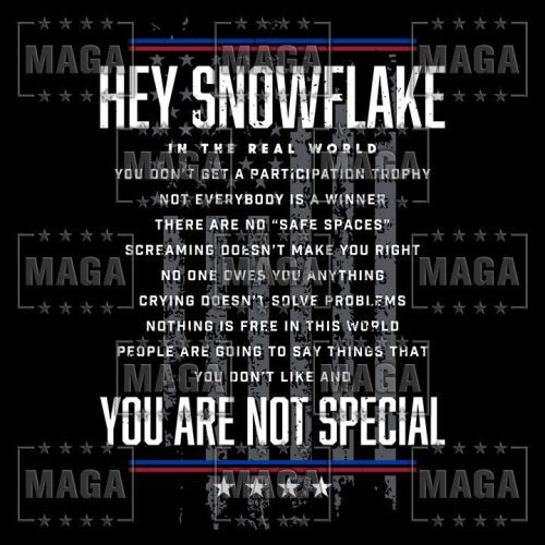 hey snowflake maga trump 33882205978801