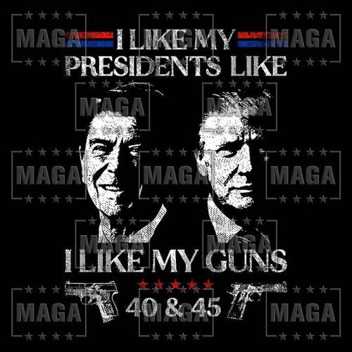 i like my presidents maga trump 33797551980721